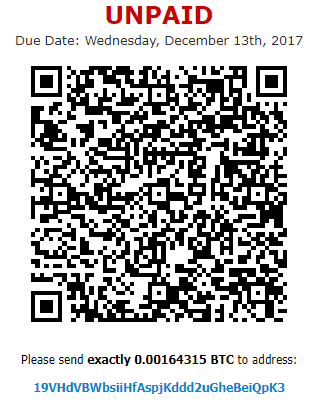 BitCoin invoice for RDP