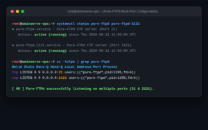 Configure Pure-FTPd on Multiple Ports on Linux VPS cPanel DirectAdmin